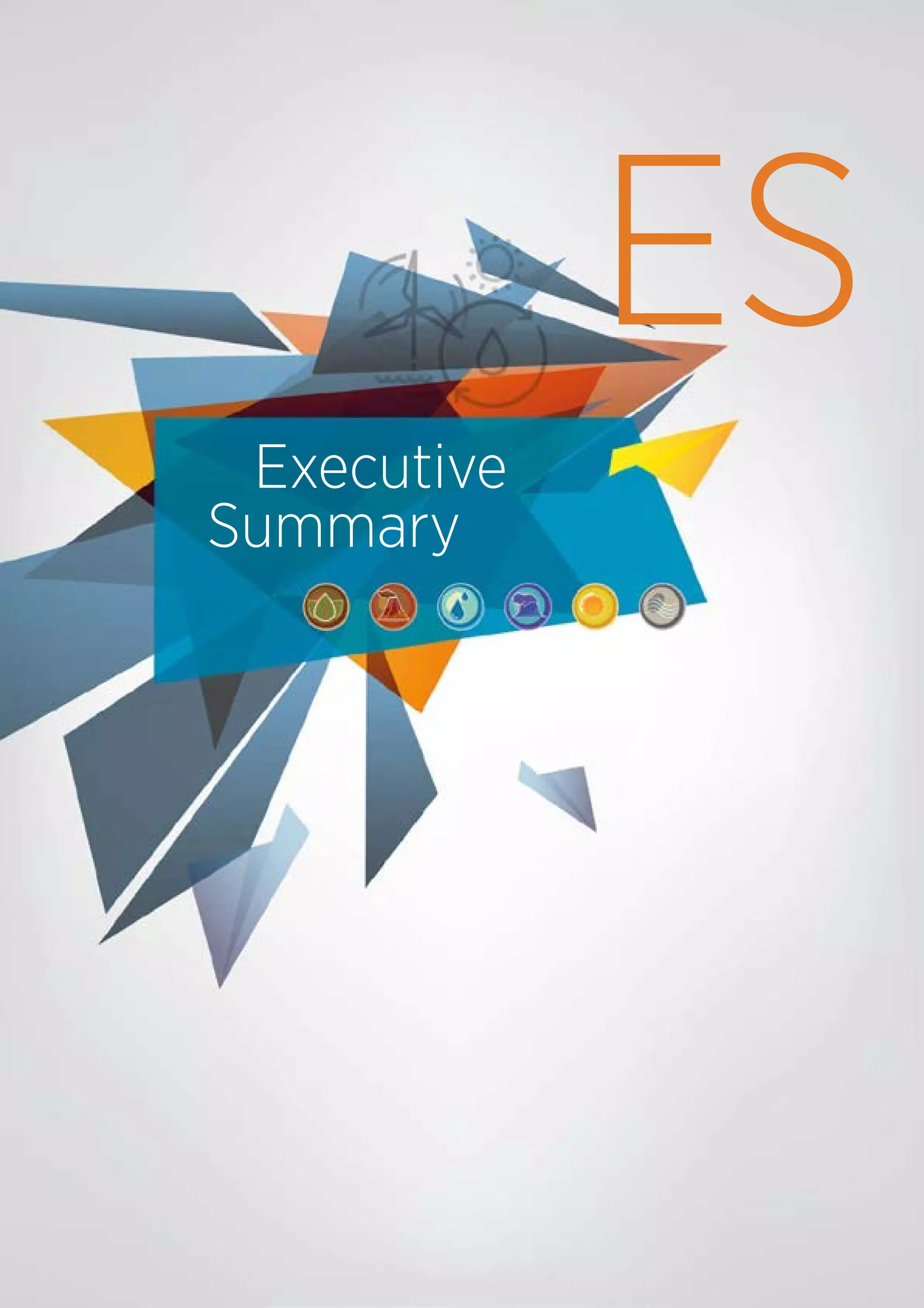 ES
Executive
Summary
 
