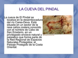 LA CUEVA DEL PINDAL La cueva de El Pindal se localiza en la desembocadura del río Cares-Deva. Está situada en un sector de la rasa caliza costera conocido con el nombre de Cabo de San Emeterio, en un privilegiado enclave natural y paisiatico que forma parte de la Red Regional de Espacios Naturales Protegidos: el Paisaje Protegido de la Costa Oriental.  