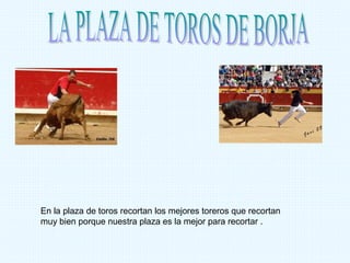 En la plaza de toros recortan los mejores toreros que recortan
muy bien porque nuestra plaza es la mejor para recortar .
 