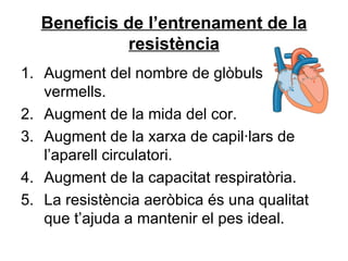Beneficis de l’entrenament de la resistència Augment del nombre de glòbuls vermells. Augment de la mida del cor. Augment de la xarxa de capil·lars de l’aparell circulatori. Augment de la capacitat respiratòria. La resistència aeròbica és una qualitat que t’ajuda a mantenir el pes ideal. 