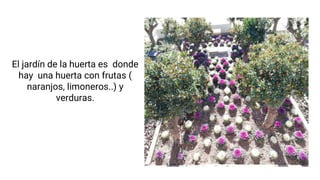 El jardín de la huerta es donde
hay una huerta con frutas (
naranjos, limoneros..) y
verduras.
 