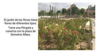 El jardín de las flores tiene
flores de diferentes tipos.
Tiene una Pérgola y
conecta con la plaza de
Demetrio Ribes.
 