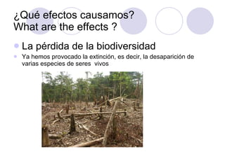 ¿Qué efectos causamos? What are the effects ? La pérdida de la biodiversidad Ya hemos provocado la extinción, es decir, la desaparición de varias especies de seres  vivos 