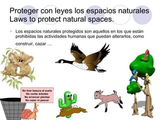Proteger con leyes los espacios naturales Laws to protect natural spaces.  Los espacios naturales protegidos son aquellos en los que están prohibidas las actividades humanas que puedan alterarlos, como construir, cazar …   No tirar basura al suelo No cortar árboles No arrancar plantas No cazar ni pescar 