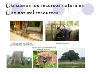 Utilizamos los recursos naturales Use natural resources 