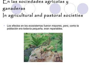 En las sociedades agrícolas y ganaderas  In agricultural and pastoral societies Los efectos en los ecosistemas fueron mayores, pero, como la población era todavía pequeña, eran reparables. 