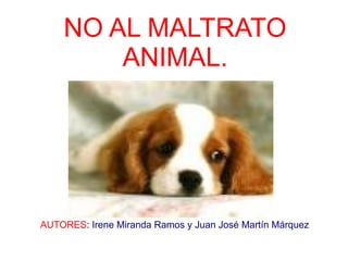 NO AL MALTRATO
ANIMAL.
AUTORES: Irene Miranda Ramos y Juan José Martín Márquez
 