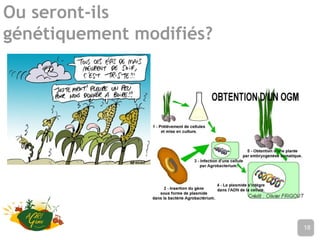 Ou seront-ils
génétiquement modifiés?
Nom de l’établissement18
 