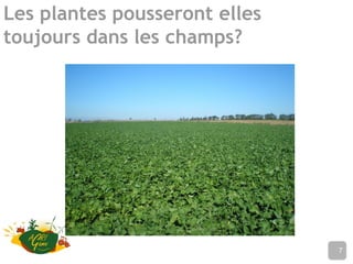 Les plantes pousseront elles
toujours dans les champs?
Nom de l’établissement7
 