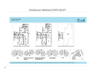 Penthouse (Midrise) 5970 SQ.FT
 