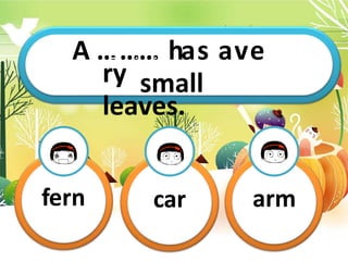 A …T
h
…i
s
…
i
sm
hy
a…
s…
…
a…
v…
e.
ry small
leaves.
fern car arm
 
