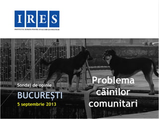 Sondaj de opinie
BUCUREȘTI
5 septembrie 2013
Problema
câinilor
comunitari
 