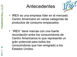 Irex propuesta de desarrollo de negocios 2013