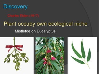Discovery
Charles Elden (1917)
Plant occupy own ecological niche
Mistletoe on Eucalyptus
 