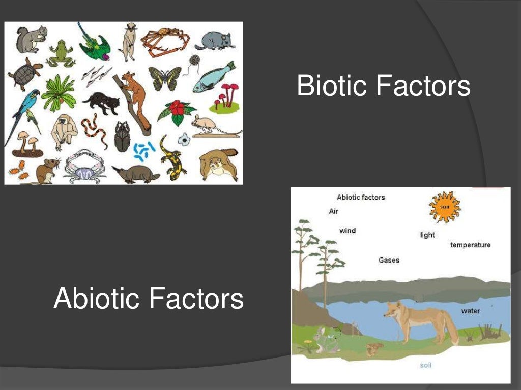 Ecological Niche Details