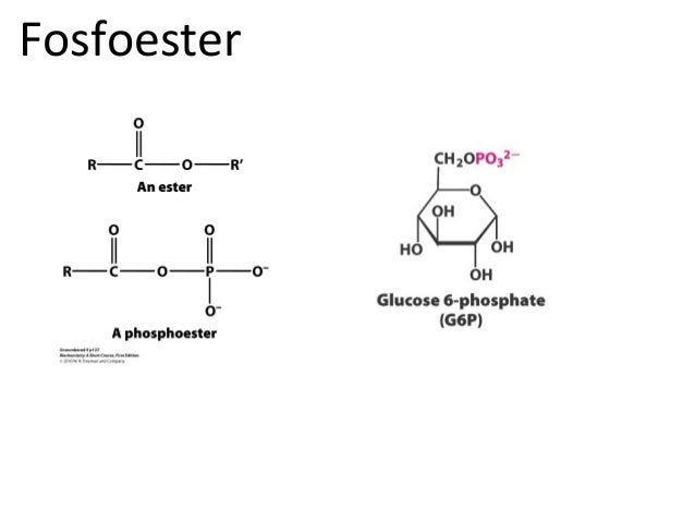 Irfan 2015 bahan kuliah karbohidrat i