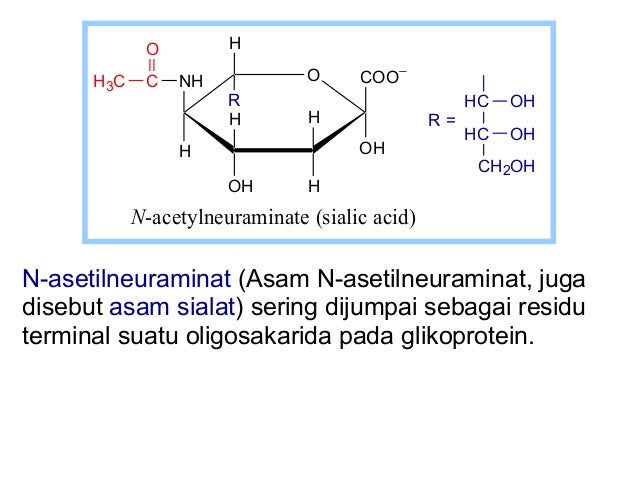 Irfan 2015 bahan kuliah karbohidrat i (1)