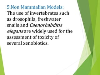 5.Non Mammalian Models:
The use of invertebrates such
as drosophila, freshwater
snails and Caenorhabditis
elegans are widely used for the
assessment of toxicity of
several xenobiotics.
 