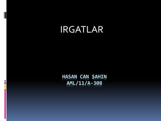 HASAN CAN ŞAHIN
AML/11/A-308
IRGATLAR
 