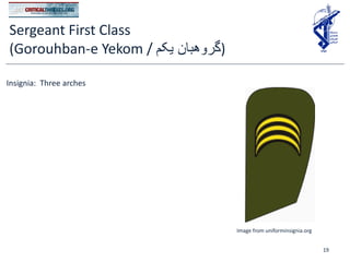 IRGC Rank Insignia Guide | PDF