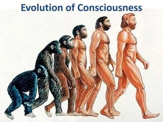 Evolution of Consciousness
1
 