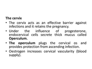 IRH - Physiology of Pregnancy Obstetric.pdf