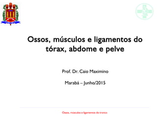 Ossos, músculos e ligamentos do tronco
Ossos, músculos e ligamentos do
tórax, abdome e pelve
Prof. Dr. Caio Maximino
Marabá – Junho/2015
 