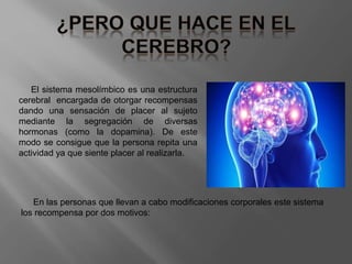 El sistema mesolímbico es una estructura
cerebral encargada de otorgar recompensas
dando una sensación de placer al sujeto
mediante la segregación de diversas
hormonas (como la dopamina). De este
modo se consigue que la persona repita una
actividad ya que siente placer al realizarla.
En las personas que llevan a cabo modificaciones corporales este sistema
los recompensa por dos motivos:
 