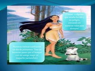 ¡Conocí  a alguien que estaba herido y en peligro, entrando en nuestras vidas para siempre!Nuestras rutinas cambiaron un día de primavera. Tras un hermoso paseo por el bosque con mi amigo mapi (el mapache parlanchín).