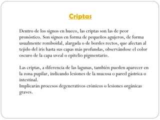 Criptas Dentro de los signos en hueco, las criptas son las de peor pronóstico. Son signos en forma de pequeños agujeros, de forma usualmente romboidal, alargada o de bordes rectos, que afectan al tejido del iris hasta sus capas más profundas, observándose el color oscuro de la capa uveal o epitelio pigmentario. Las criptas, a diferencia de las lagunas, también pueden aparecer en la zona pupilar, indicando lesiones de la mucosa o pared gástrica o intestinal. Implicarán procesos degenerativos crónicos o lesiones orgánicas graves. 