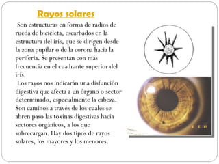 Rayos solares Son estructuras en forma de radios de rueda de bicicleta, escarbados en la estructura del iris, que se dirigen desde la zona pupilar o de la corona hacia la periferia. Se presentan con más frecuencia en el cuadrante superior del iris.  Los rayos nos indicarán una disfunción digestiva que afecta a un órgano o sector determinado, especialmente la cabeza. Son caminos a través de los cuales se abren paso las toxinas digestivas hacia sectores orgánicos, a los que sobrecargan. Hay dos tipos de rayos solares, los mayores y los menores. 