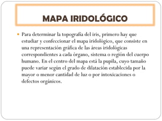 Para determinar la topografía del iris, primero hay que estudiar y confeccionar el mapa iridológico, que consiste en una representación gráfica de las áreas iridológicas correspondientes a cada órgano, sistema o región del cuerpo humano. En el centro del mapa está la pupila, cuyo tamaño puede variar según el grado de dilatación establecida por la mayor o menor cantidad de luz o por intoxicaciones o defectos orgánicos. MAPA IRIDOLÓGICO 