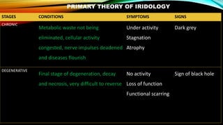 PRIMARY THEORY OF IRIDOLOGY
STAGES CONDITIONS SYMPTOMS SIGNS
CHRONIC
Metabolic waste not being
eliminated, cellular activity
congested, nerve impulses deadened
and diseases flourish
Under activity
Stagnation
Atrophy
Dark grey
DEGENERATIVE
Final stage of degeneration, decay
and necrosis, very difficult to reverse
No activity
Loss of function
Functional scarring
Sign of black hole
 