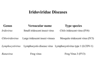 Iridoviridae.ppt