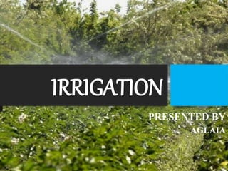 IRRIGATION
PRESENTED BY
AGLAIA
 