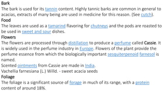 Bark 
The bark is used for its tannin content. Highly tannic barks are common in general to 
acacias, extracts of many being are used in medicine for this reason. (See cutch). 
Food 
The leaves are used as a tamarind flavoring for chutneys and the pods are roasted to 
be used in sweet and sour dishes. 
Flowers 
The flowers are processed through distillation to produce a perfume called Cassie. It 
is widely used in the perfume industry in Europe. Flowers of the plant provide the 
perfume essence from which the biologically important sesquiterpenoid farnesol is 
named. 
Scented ointments from Cassie are made in India. 
Vachellia farnesiana (L.) Willd. - sweet acacia seeds 
Foliage 
The foliage is a significant source of forage in much of its range, with a protein 
content of around 18%. 
 