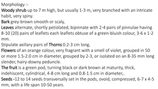 Morphology :- 
Woody shrub up to 7 m high, but usually 1-3 m, very branched with an intricate 
habit, very spiny. 
Bark grey-brown smooth or scaly, 
Leaves alternate, shortly petiolated, bipinnate with 2-4 pairs of pinnulae having 
8-10 (20) pairs of leaflets each leaflets obtuse of a green-bluish colour, 3-6 x 1-2 
mm. 
Stipulate axillary pairs of Thorns 0.2-3 cm long, 
Flowers of an orange colour, very fragrant with a smell of violet, grouped in 50 
or more 1.5-2.0 cm in diameter, grouped by 2-3, or isolated on an 8-35 mm long 
slender, hairy-downy peduncle. 
The fruit is a green pod, turning black or dark brown at maturity, thick, 
indehiscent, cylindrical, 4-8 cm long and 0.8-1.5 cm in diameter,. 
Seeds -12 to 14 seeds transversally set in the pods, ovoid, compressed, 6-7 x 4-5 
mm, with a life span 10-50 years. 
 