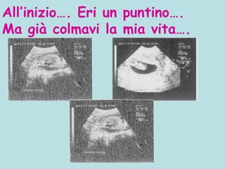 Auguri a Iris | PPT