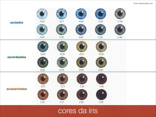 fonte: madmoizelle.com
azulados
esverdeados
acastanhados
cores da íris
 