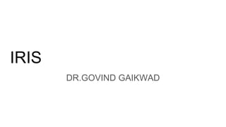 IRIS
DR.GOVIND GAIKWAD
 