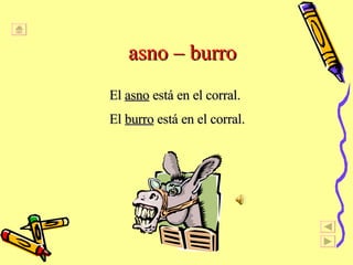 asno – burro El  asno  está en el corral.  El  burro  está en el corral. 