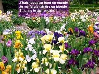 J'irais jusqu'au bout du monde Je me ferais teindre en blonde Si tu me le demandais 