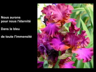 Nous aurons   pour nous l'éternité Dans le bleu  de toute l'immensité 