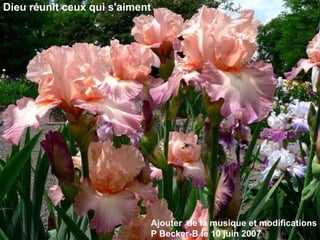 Ajouter  de la musique et modifications P Becker-B le 10 juin 2007 Dieu réunit ceux qui s'aiment 