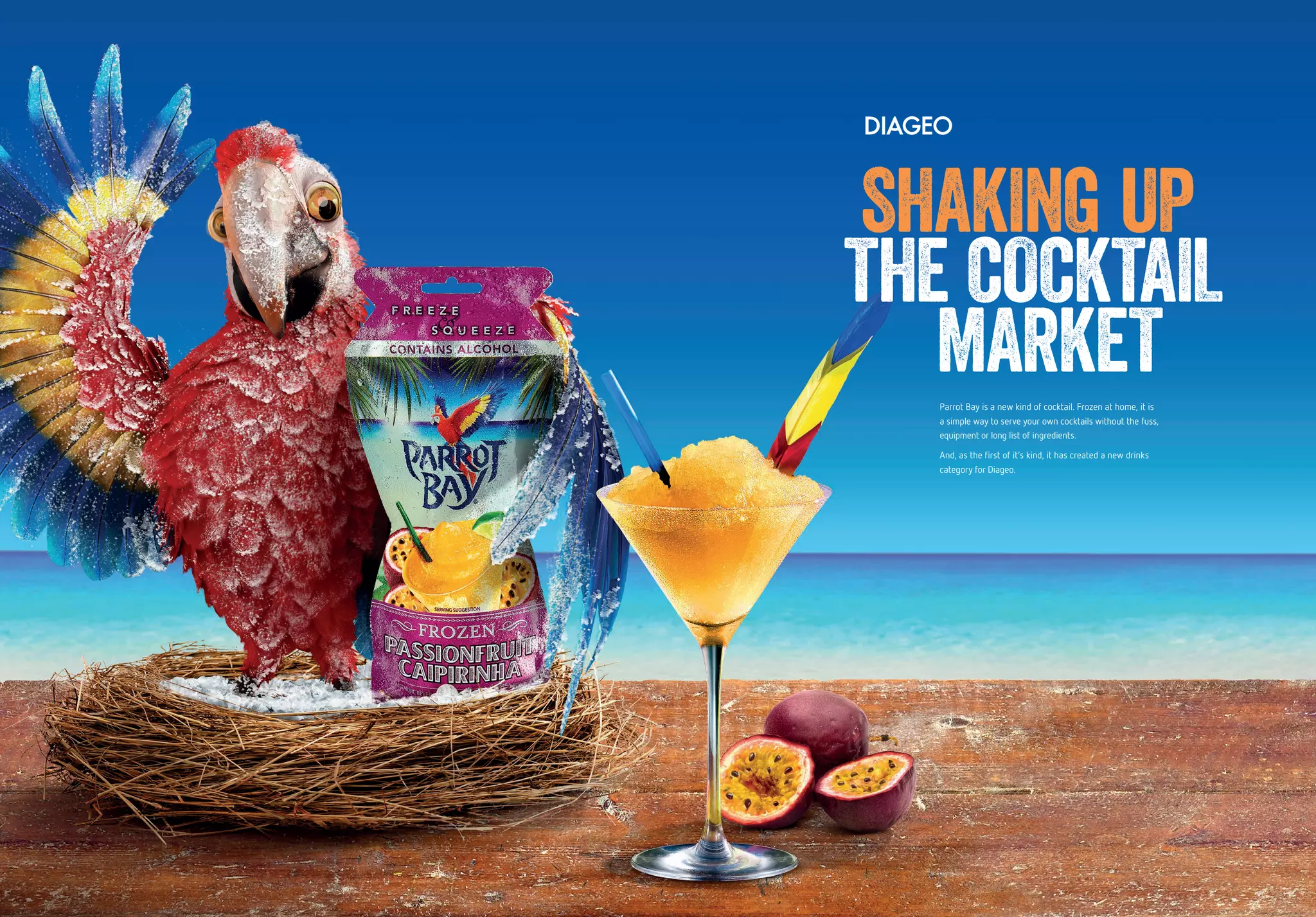 74 75
SHAKING UP
THE COCKTAIL
MARKETParrot Bay is a new kind of cocktail. Frozen at home, it is
a simple way to serve your own cocktails without the fuss,
equipment or long list of ingredients.
And, as the first of it’s kind, it has created a new drinks
category for Diageo.
 