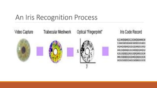 An Iris Recognition Process
 