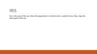 IRIS
Iris is the area of the eye where the pigmented or colored circle, usually brown, blue, rings the
dark pupil of the eye.
 