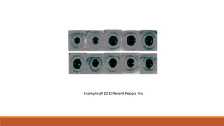 Example of 10 Different People Iris
 