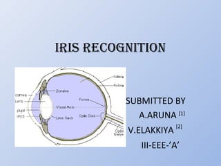 IRIS RECOGNITION
SUBMITTED BY
A.ARUNA [1]
V.ELAKKIYA
[2]
III-EEE-’A’
 