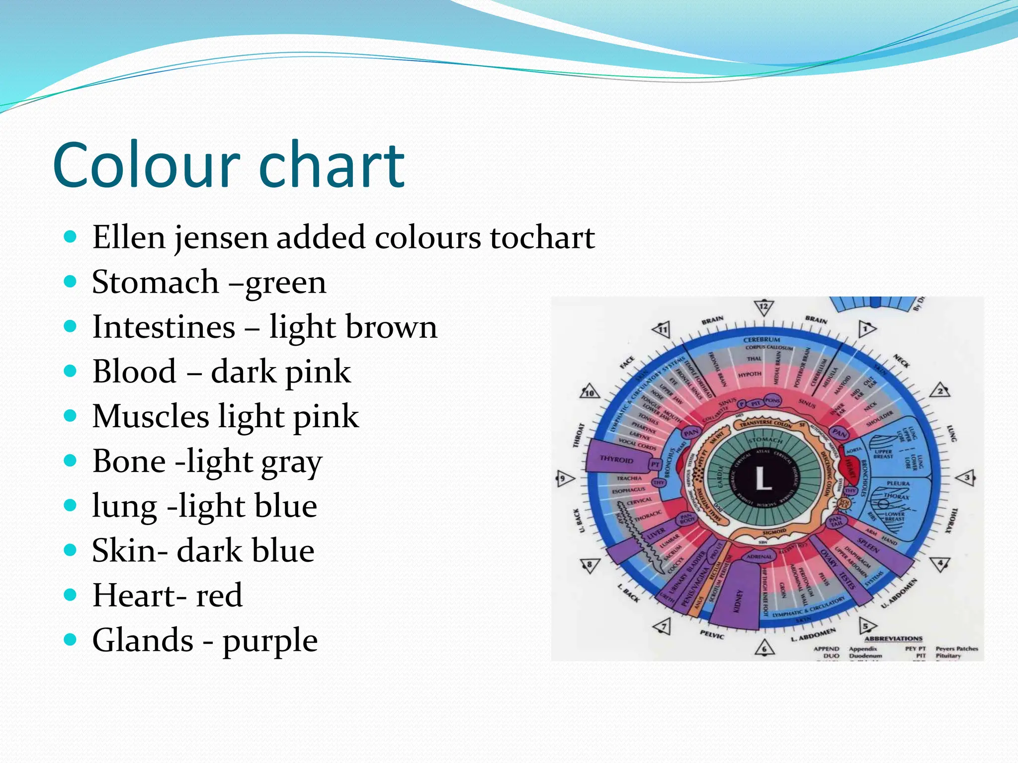 IRIS CHART.pptx iris chart of eyes in human | PPTX